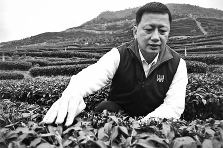 Tea grower returns to plant his roots
