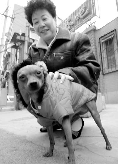 Policy would give neighbors say over dogs