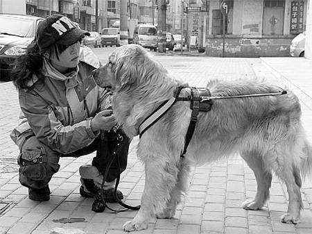 Dog trainer's vision leads the way