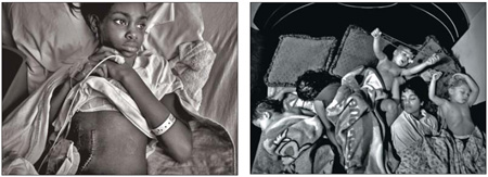 No breaking news Pulitzer Prize in year of disasters