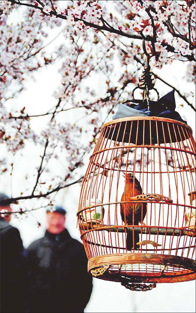 Birds of a feather