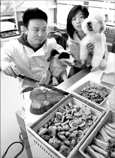 Woofing down tasty treats