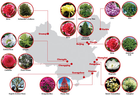 Signature flora of China's major cities