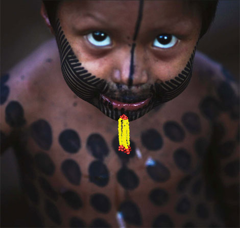Kayapo comeback