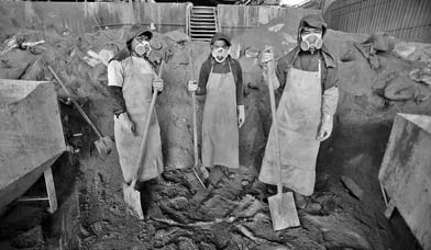Sick workers' compensation hope
