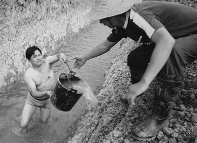Yangtze stretch closed due to drought