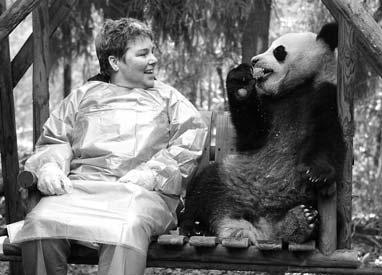 Zoo's panda plans still in pipeline despite disputes