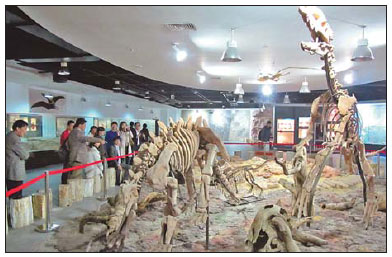 New geological museum rocks the cradle of the Party