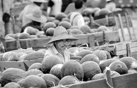 Watermelons sell poorly after recent explosions
