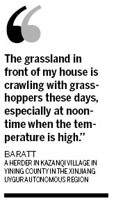 Locust plague to only worsen with higher temperatures