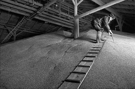 Russia set to boost global grain supply