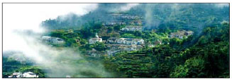 Guangdong Special :Award: 'Best Natural Eco-Tourism Festival'