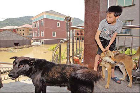 Measures in place for flood relief