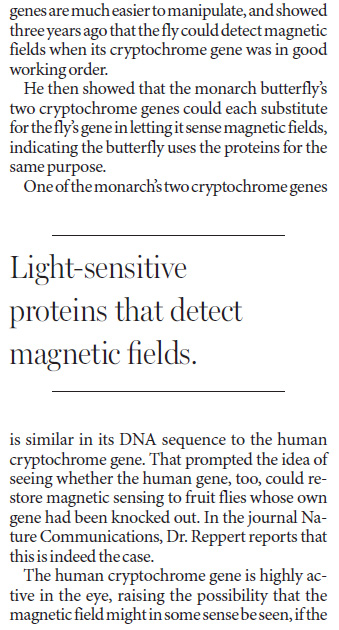 Finding one's orientation might begin in the genes