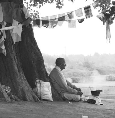 Foundation, UN to transform Buddha site