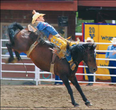 Rodeo officials try to calm safety concerns
