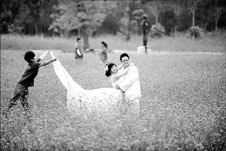 Love in the lavender fields