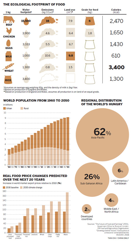 Food crisis in Asia