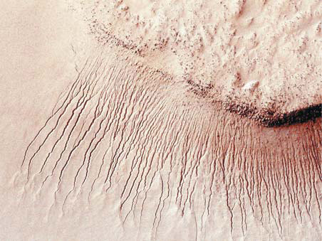 Flowing salt water on Mars found