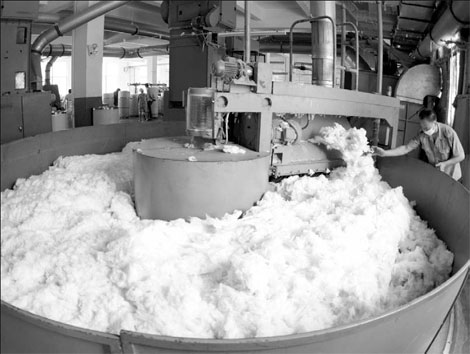 Starting a Cotton Ginning Company – Sample Business Plan Template