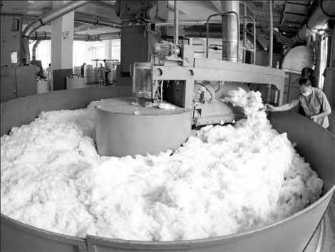 Cotton production set to rise for first time in four years