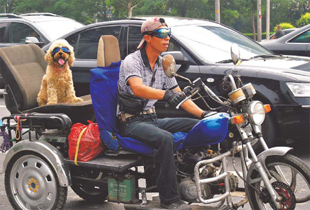 Capital calls on dog owners to help fight rabies