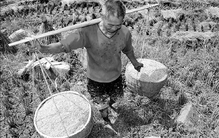 Bumper crop, but price still rising