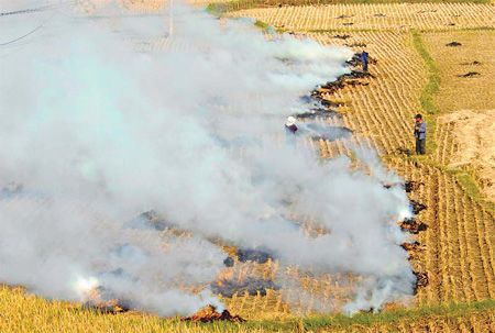 Burning straw creates heavy fog
