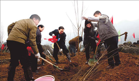 Tree planting gets under way in green drive