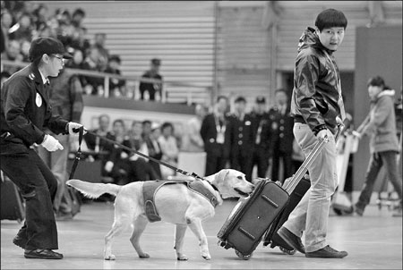 Dogs finally get their day