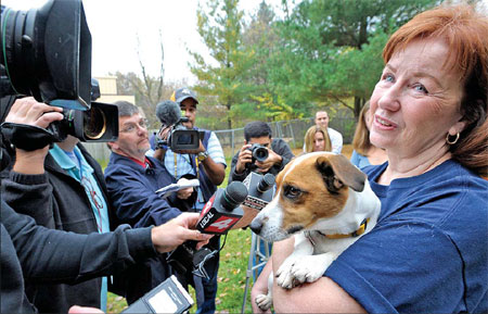 Missing dog turns up 800 km from owner's home