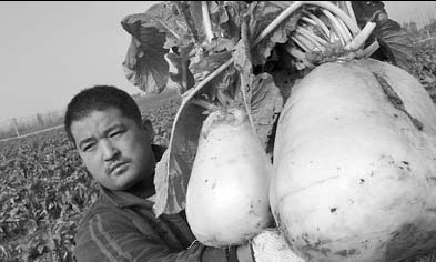 Farmer: No regrets over giveaway