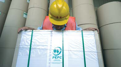 Industry Special: Asia's paper companies face 'green' trade barriers