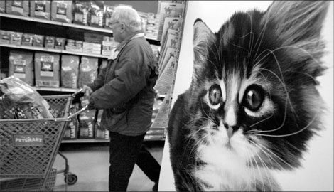 Man with a passion for pet food