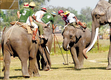 Tuskers tussle at Nepal elephant polo world championships