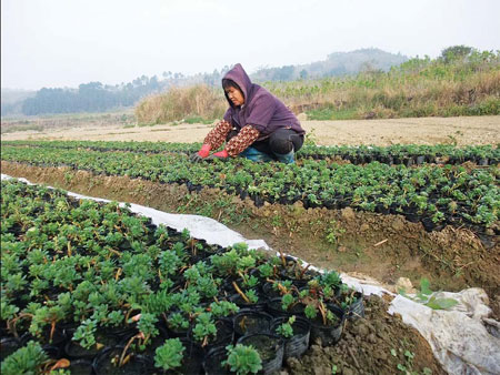 2001 flood left legacy of contamination