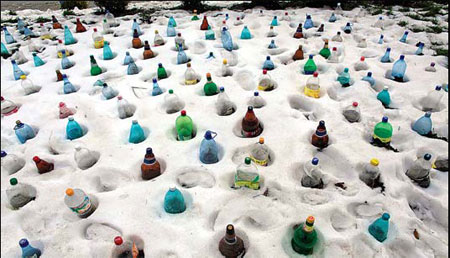 Big freeze kills over 260