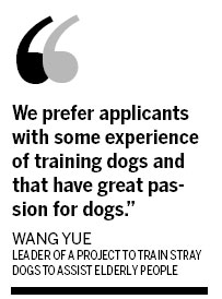 Stray dogs to be trained to help people with hearing disabilities
