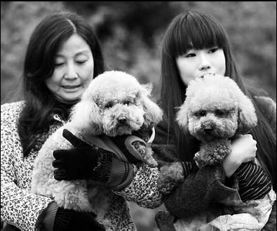 Every dog has his day, or at least he should