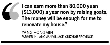 Back to the green grass of home