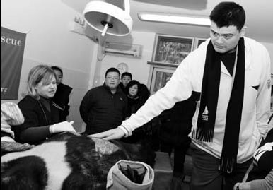 Bear-bile farm draws rebukes for public visit proposal