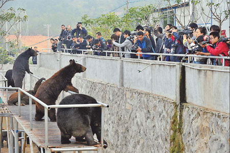 Bear farm opens doors to media