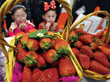 Strawberry fields are forever