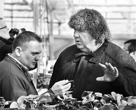 Hopes that new strawberry varieties prove fruitful