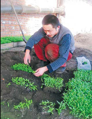 Grounded, but with a growing ambition