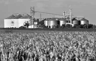 China may begin importing corn from Argentina as demand soars