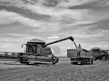 Soybean imports from US to decline this year