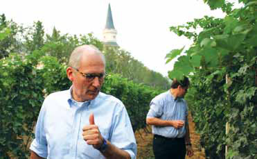 Wine Special: Grape quality vital to Chinese wine's global success