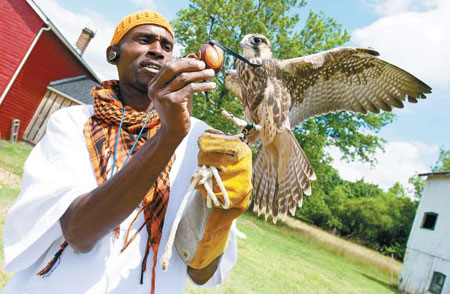 Falconer gets off to flying start