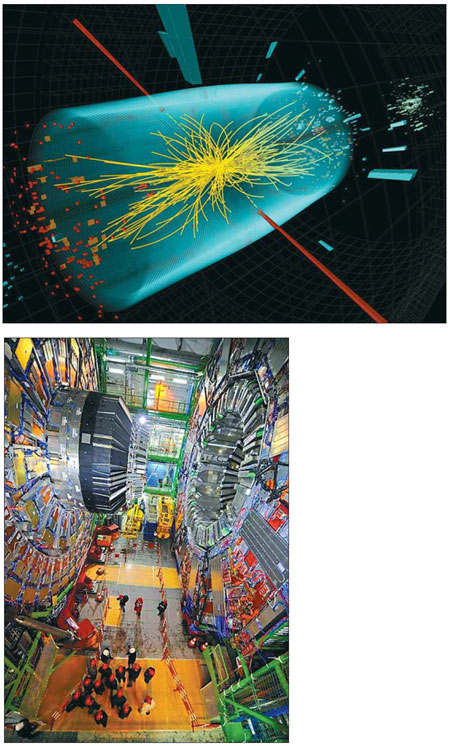 Chinese link in missing-link breakthrough